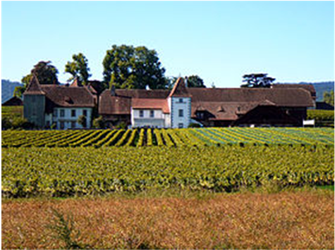 Le Château De Duillier - Field (903x354), Png Download