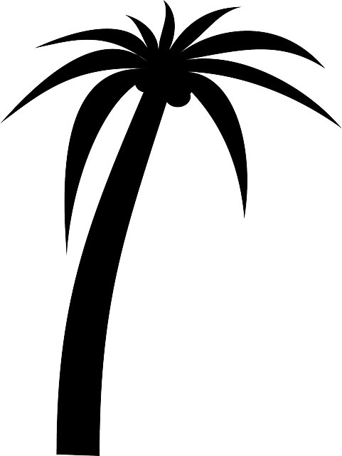 American, Florida, Florida , History, Social, Studies, - Clip Art (481x640), Png Download