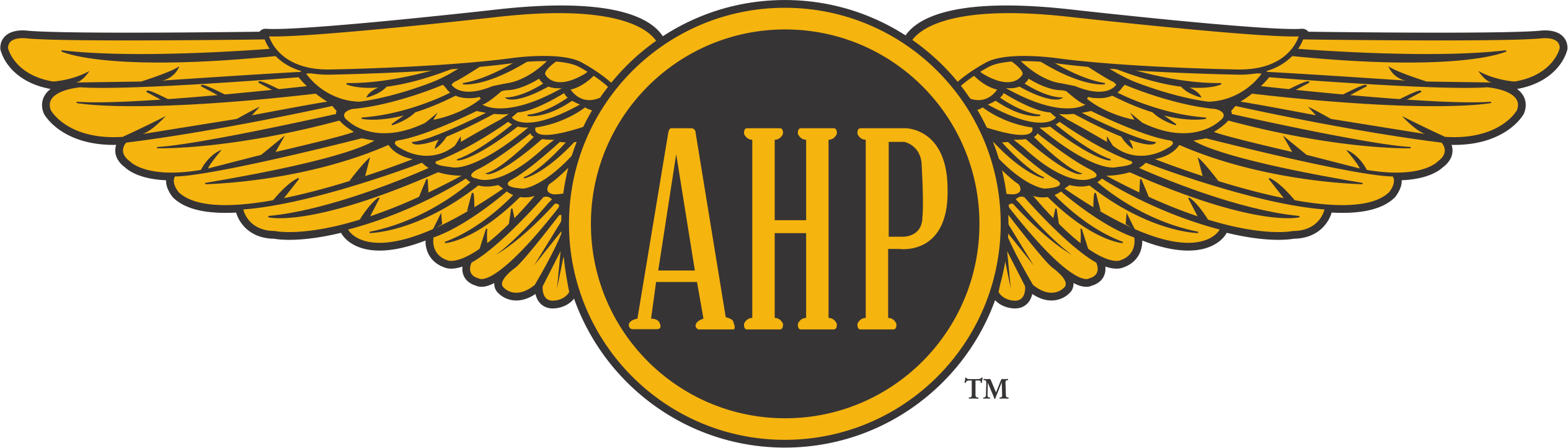 Our Greek Letters - Alpha Eta Rho (2529x722), Png Download