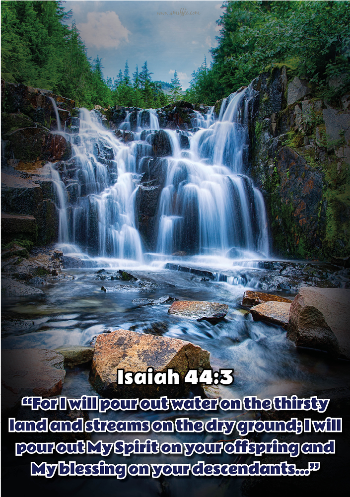 Isaiah 44 - 3 - Bv316 - Isaiah 44 3 (1000x1000), Png Download