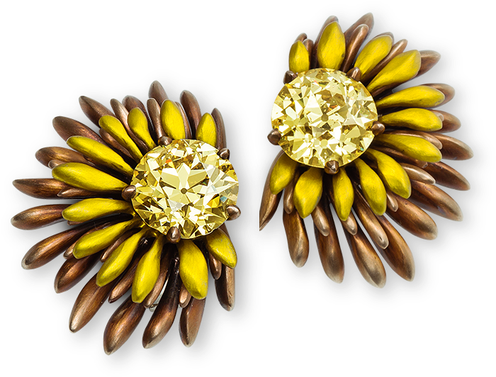 Earrings (800x800), Png Download