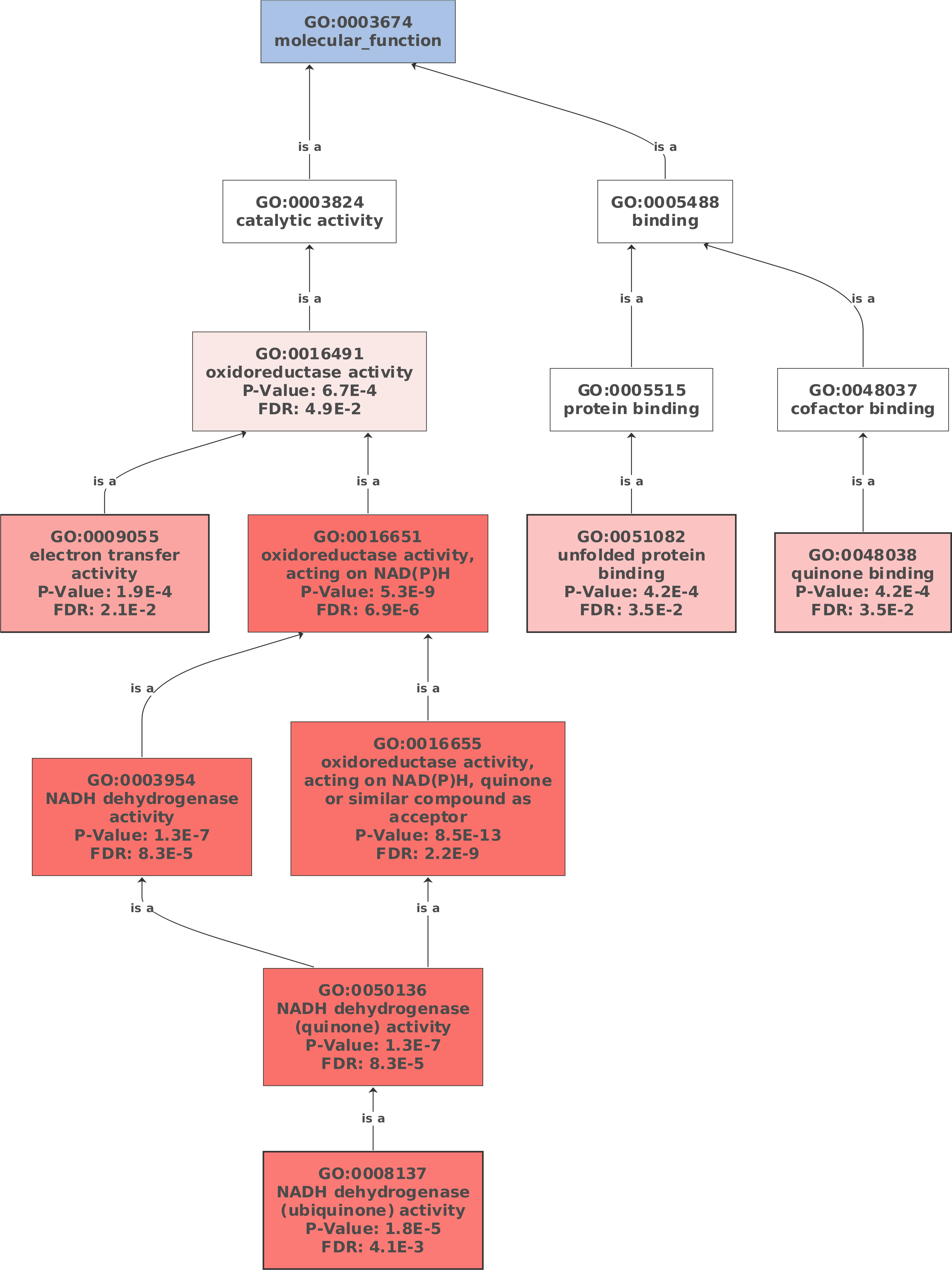Functional Enrichment Analysis - Diagram (4109x5478), Png Download
