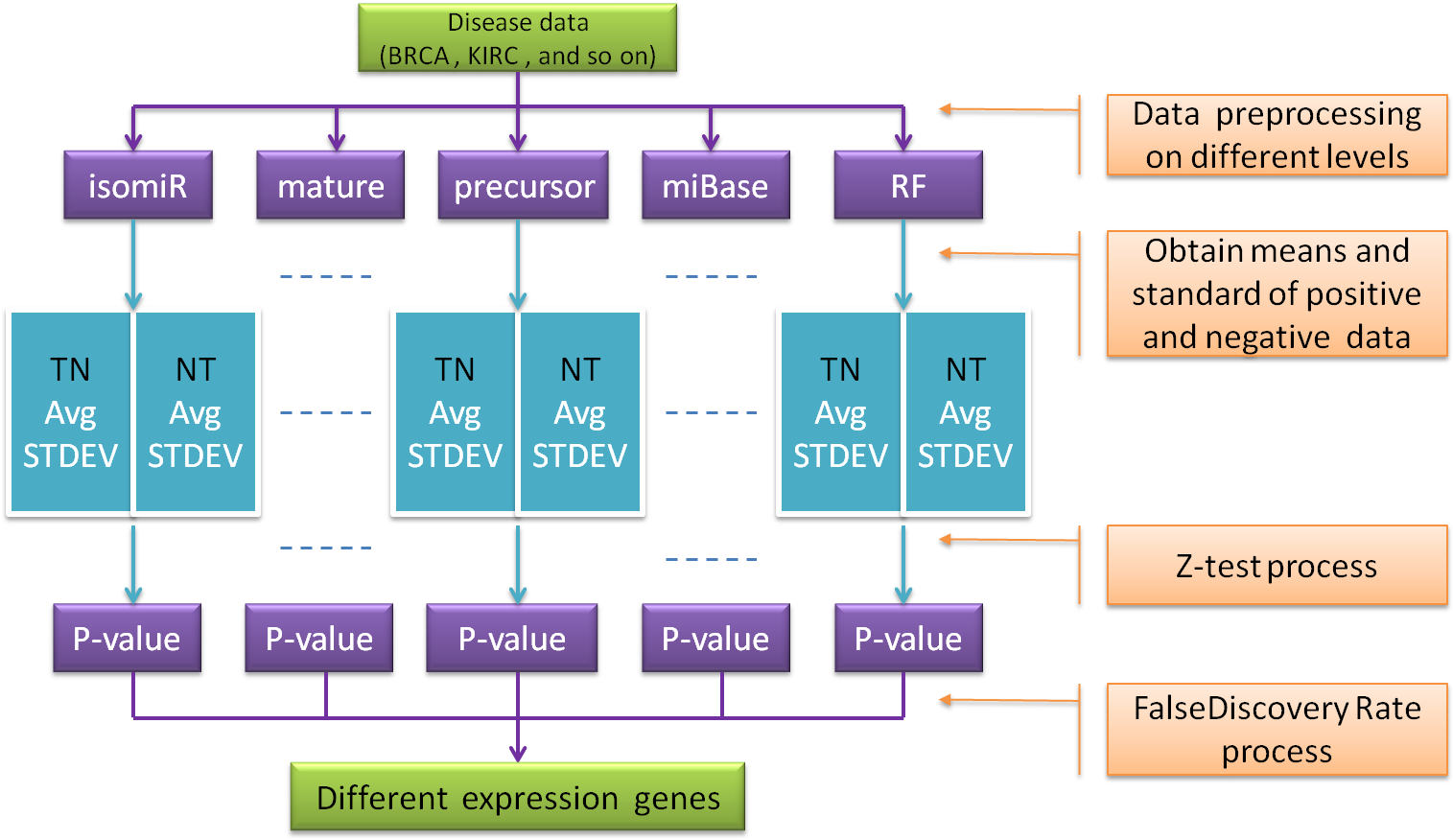 Tumor Type - - Diagram (1527x888), Png Download