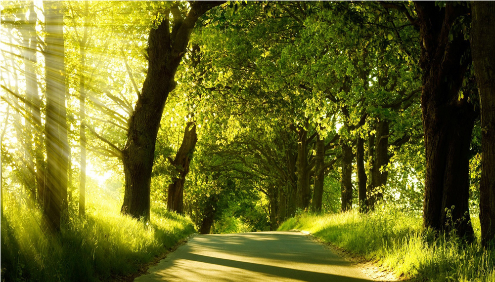 Ventajas De La Naturaleza (1000x1000), Png Download