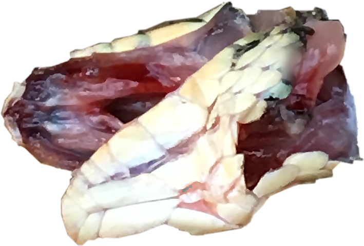 Popular - Sushi (709x480), Png Download