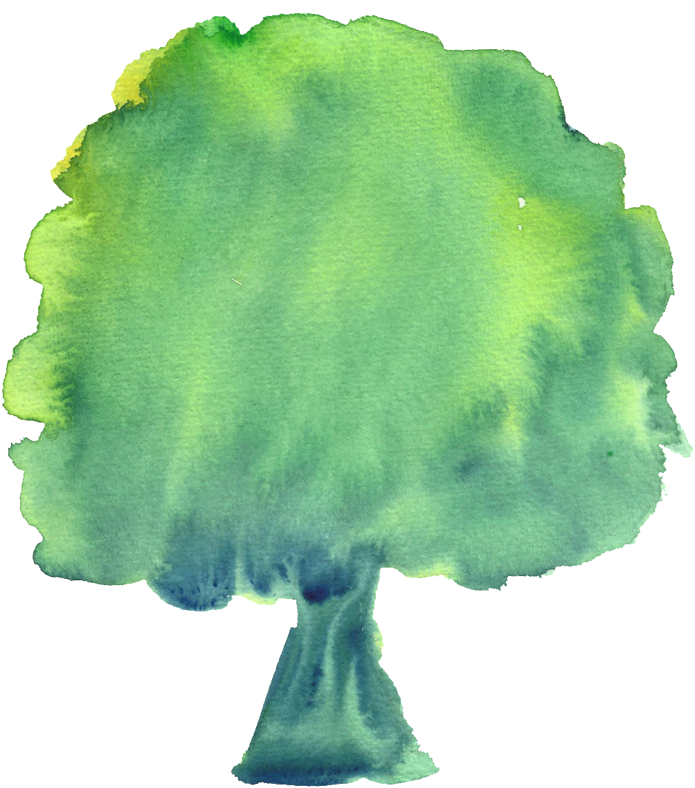 Hand Account Card Wow Small Tree Decoration Vector - Broccoli (1024x1163), Png Download