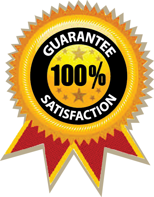 Red Certificate Star Logo (498x637), Png Download