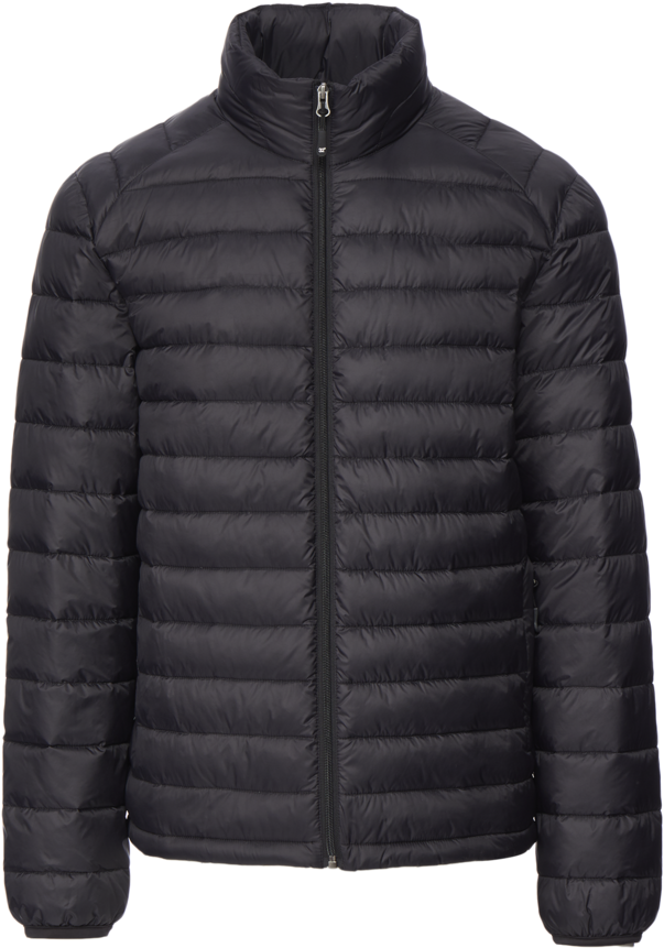 transparent puffer jacket