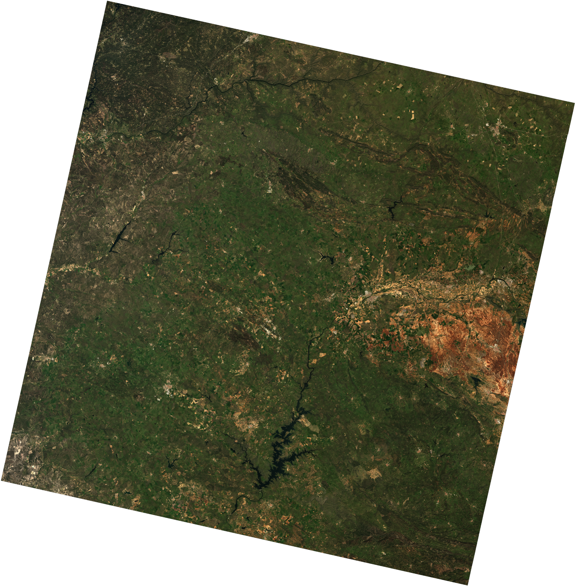 Boa Overview - Grass (1910x1942), Png Download