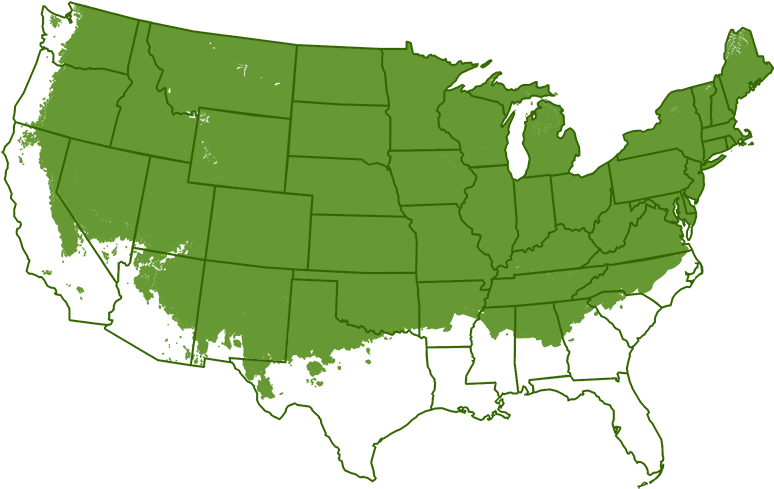 Lowbush Plants Perform Best In Cold To Moderate Temperatures - Grand Coulee Dam On Map (800x528), Png Download