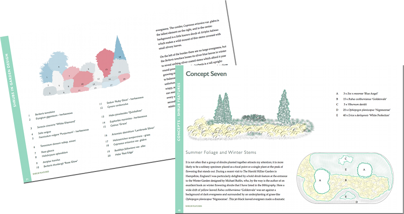 Shrub Features Sample - Architecture (800x423), Png Download