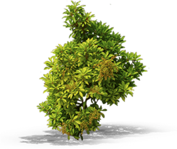 View In My Picture - Bushes Top View Png (600x600), Png Download