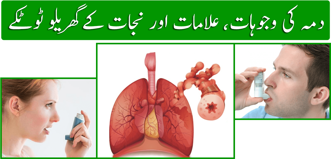 Asthma In Urdu - Poster (1300x650), Png Download
