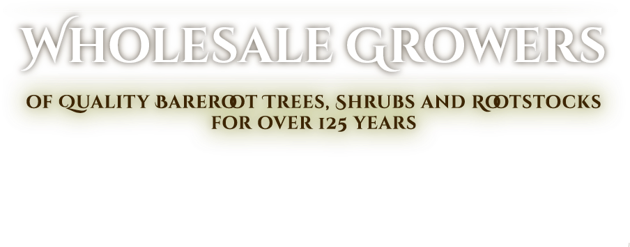 Our Process - Parallel (1280x470), Png Download