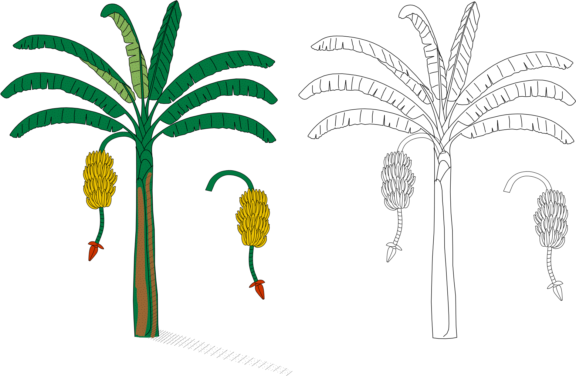 Open - La Planta De Cambur (2000x1418), Png Download