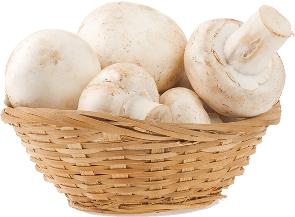 ‹ › - Storage Basket (847x1000), Png Download