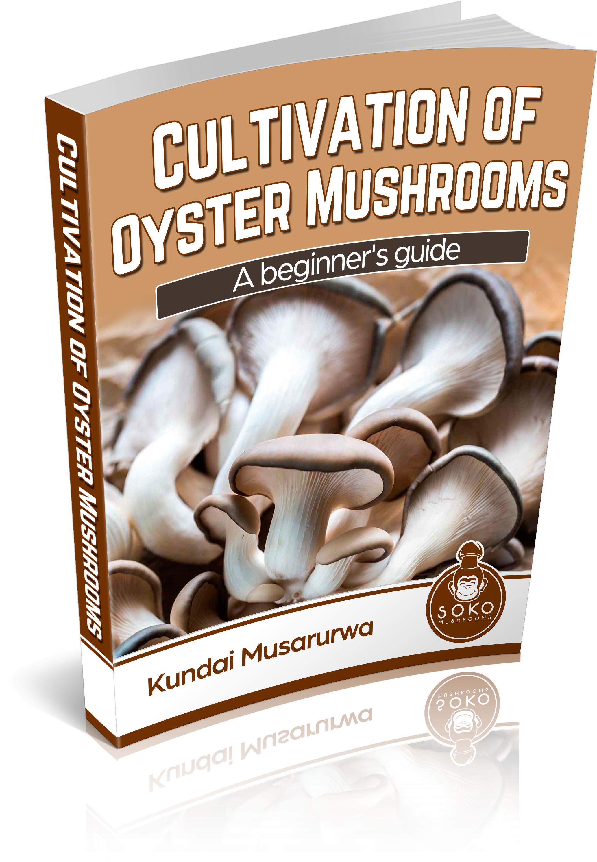 Oyster Mushrooms Manual Available - Flyer (2850x3300), Png Download