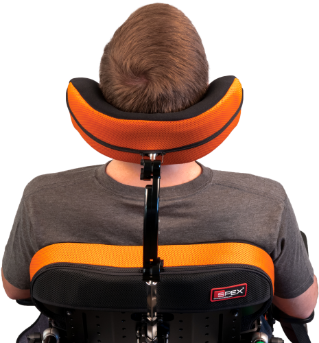 Car Seat (800x533), Png Download