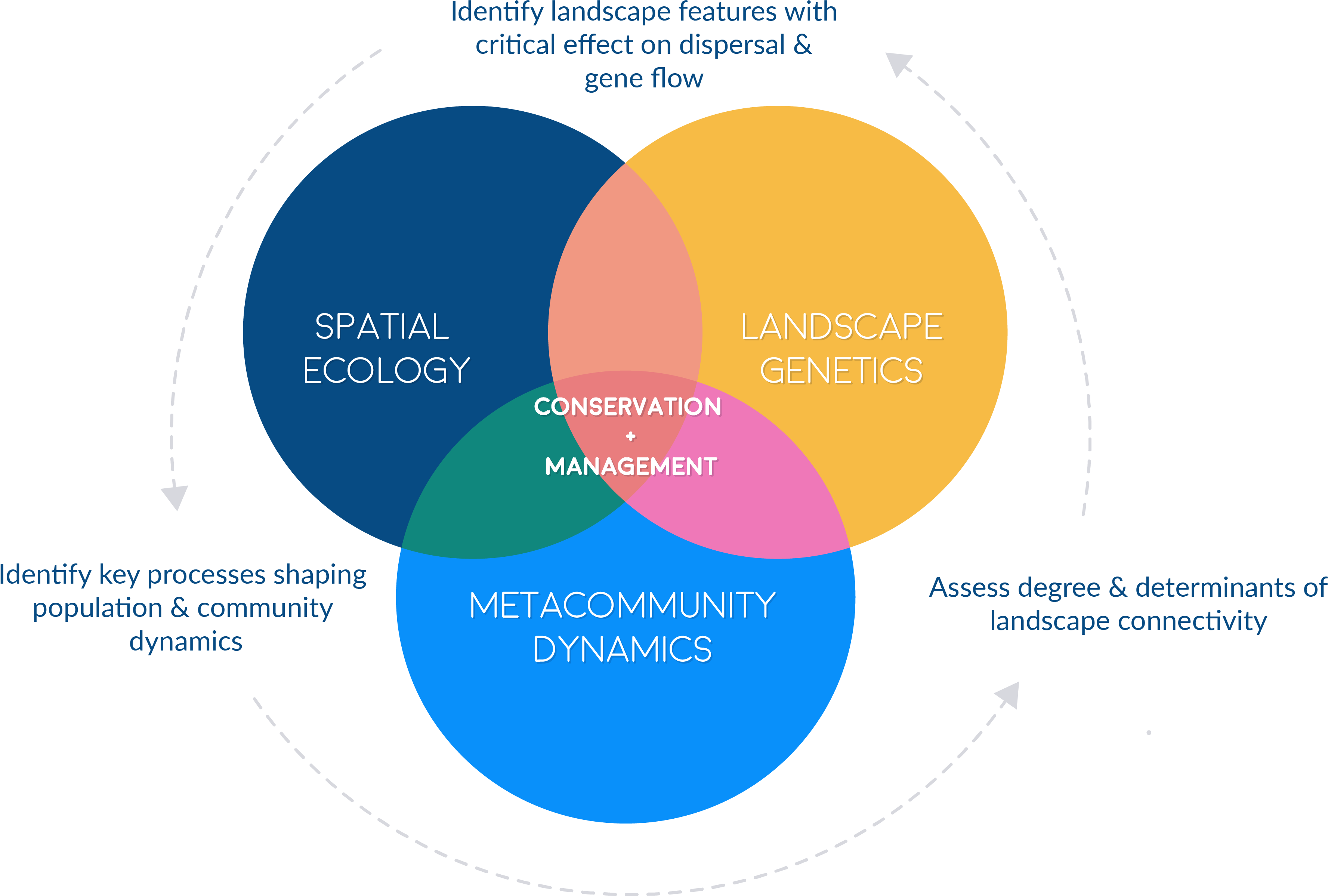 Research Interests - Diagram (3863x2605), Png Download