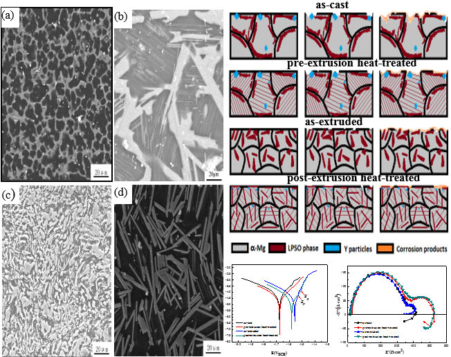 Graphical Abstract - Pattern (661x532), Png Download