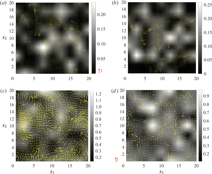 The X 1 X 2 Projections Of Fluid Velocity Vectors Lying - Graphics Software (728x598), Png Download