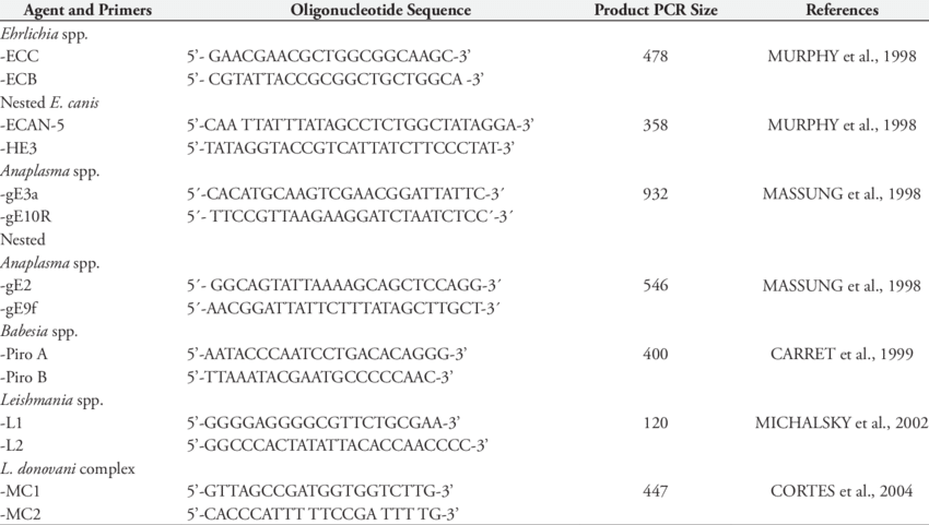 Description Of Primers, Pcr Product Size And References - Characteristics Of A 7's Player (850x481), Png Download