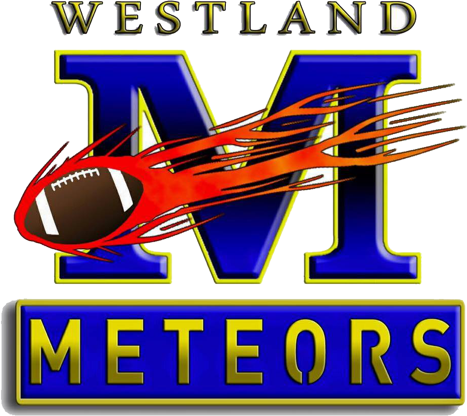 Meteors-logo - Graphic Design (958x958), Png Download