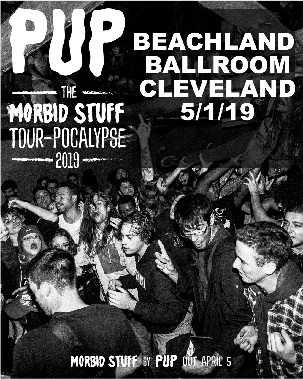 56-og W=2048&h=1365 - Pup Tour (2048x1366), Png Download