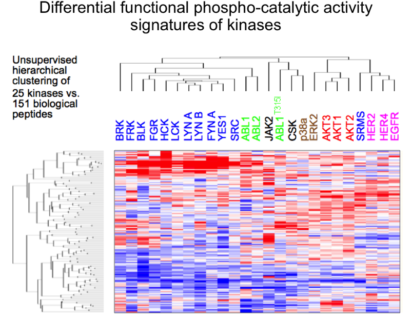 1493146338 Ccmi021 , 2017 04 25 - Number (800x632), Png Download