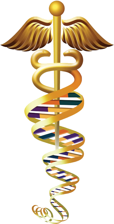 Learn The Sacred Secrets Of The Ancient Indian Scriptures - Human Genetics (400x800), Png Download