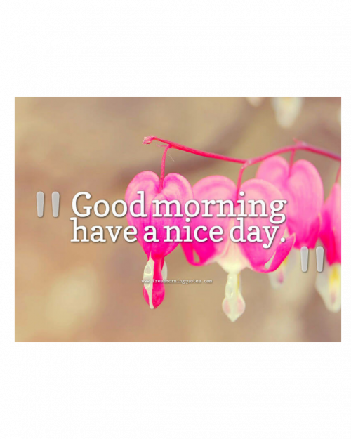 32 Activities - New Wallpaper For Fb Cover (500x625), Png Download