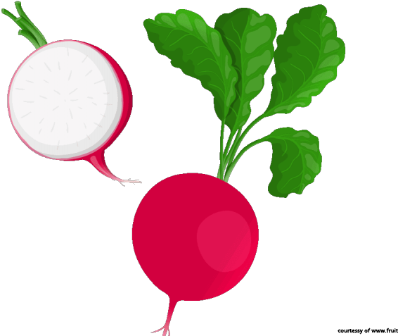 Radish Clipart Beetroot (640x480), Png Download