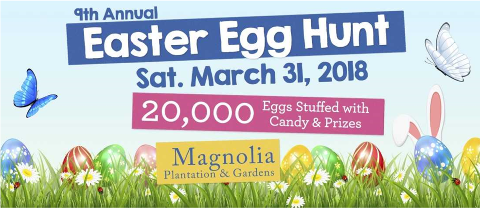 Magnolia Plantation & Gardens - Grass (986x555), Png Download