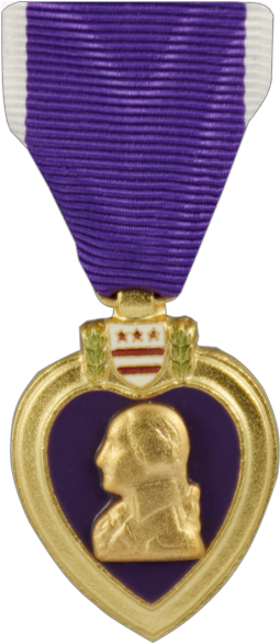 Purple Heart Medal - Bronze Medal (800x800), Png Download