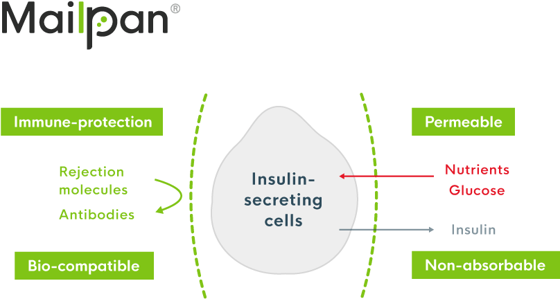 Advantages Of A Bioartificial Pancreas - Diagram (952x619), Png Download