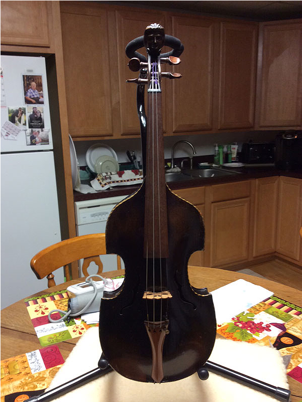 Harry And Jeanie West - Viola (800x800), Png Download