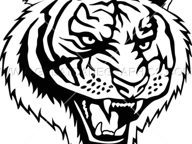 Drawn White Tiger Roaring - Illustration (640x480), Png Download