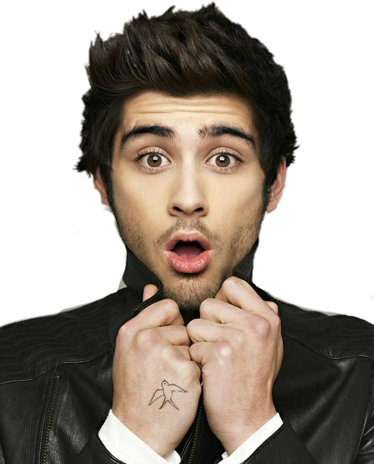 Zayn Malik Clipart Cute - Zayn Malik Merry Christmas (735x912), Png Download
