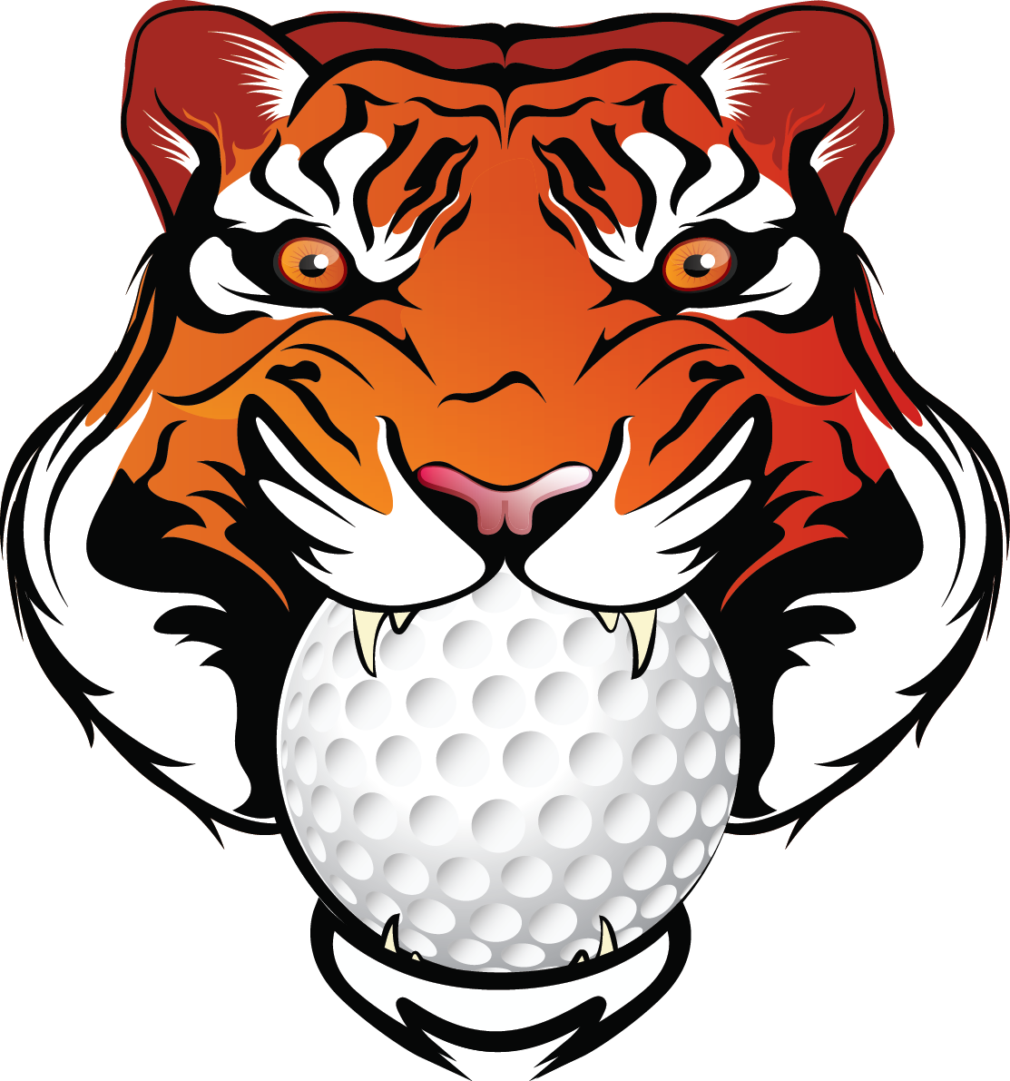 3rd Annual Newton Falls Basketball And Friends Golf - Tiger Football Png (1113x1191), Png Download
