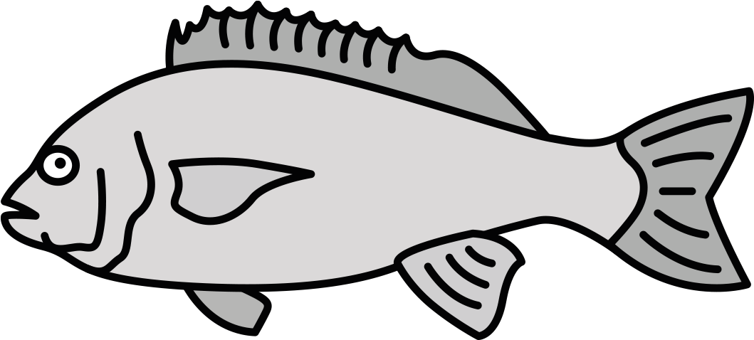 Seabream - Coral Reef Fish (1181x1181), Png Download
