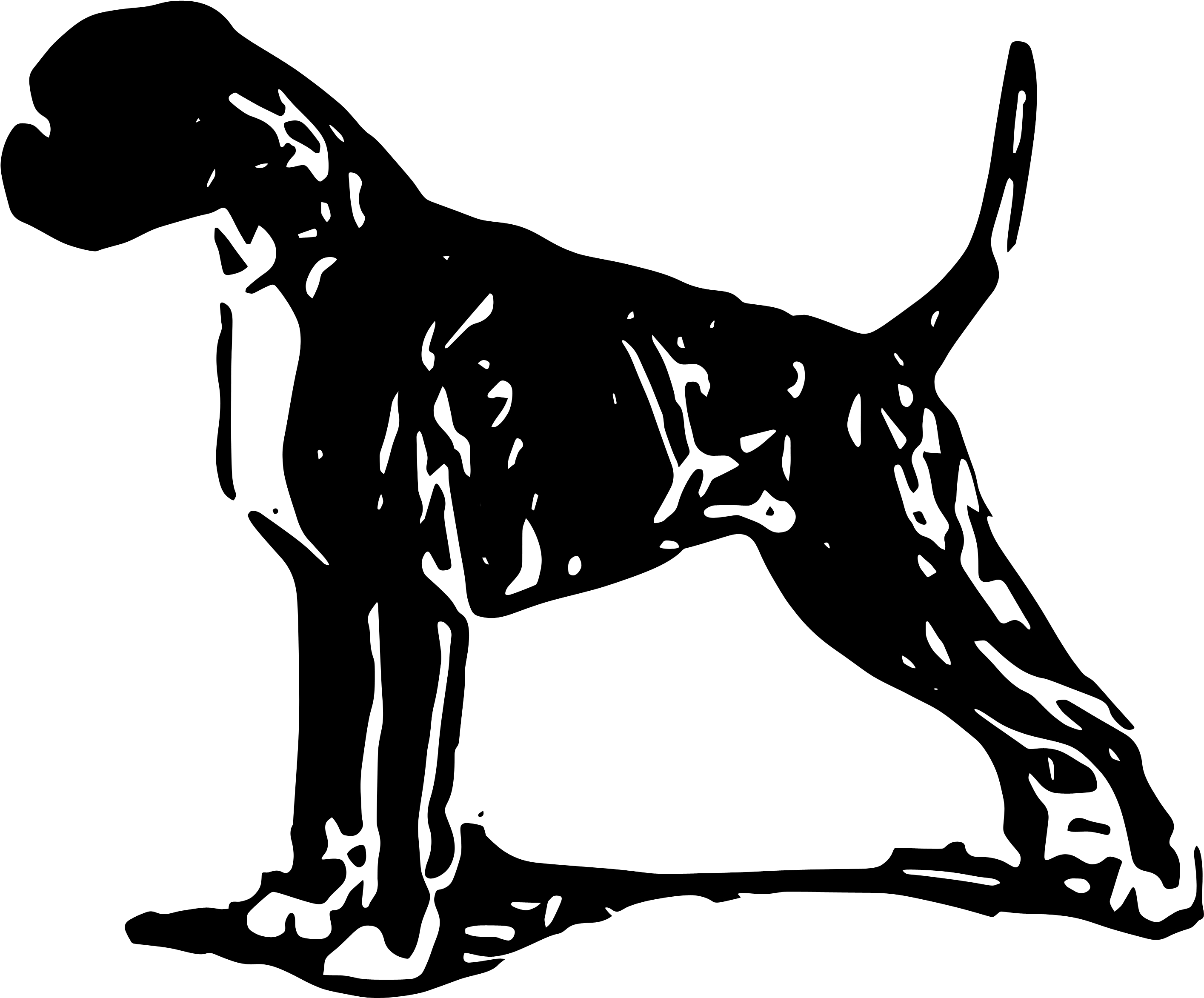 Located In South Eastern Wisconsin, Usa, We Host All-breed - Dalmatian (2828x2828), Png Download