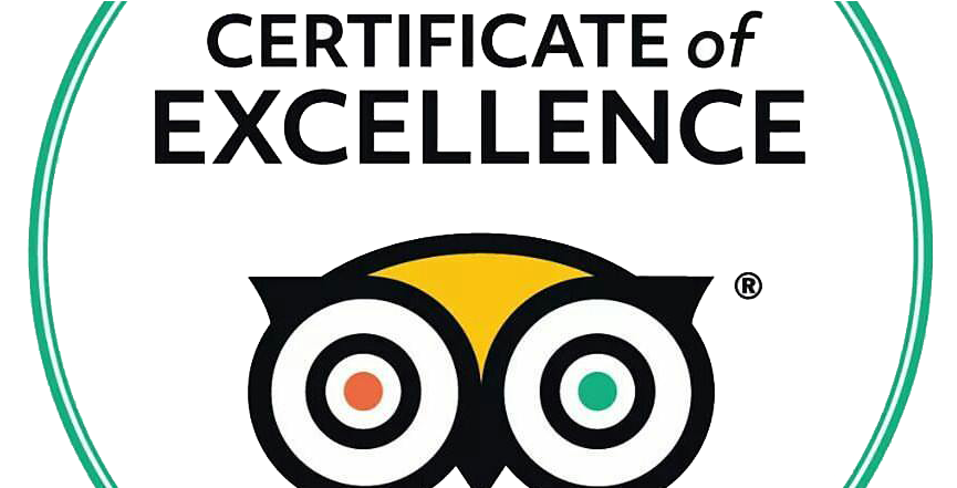 Tripadvisor Logo 1 - Trip Advisor (960x440), Png Download