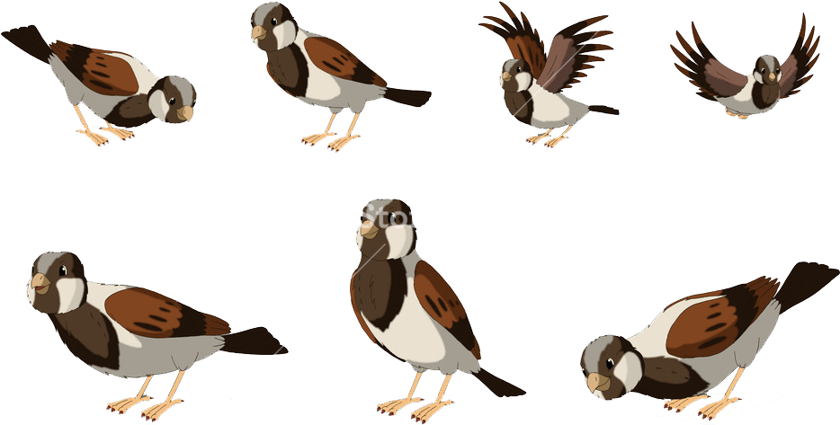 Sparrow Png Free Pic - Eurasia (1000x563), Png Download
