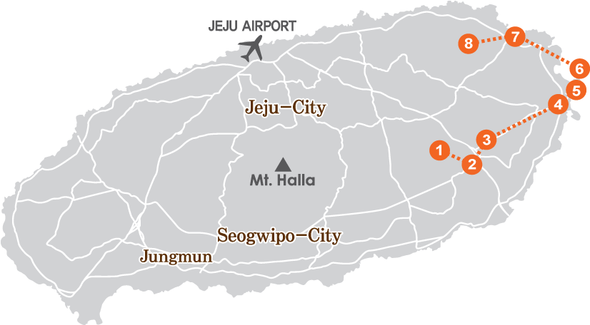 Horseback Riding - Jeju West Tour (850x472), Png Download