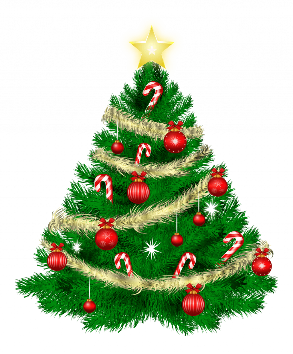 Astonishing Cartoon Pictures Of Christmas Trees Picture - Christmas Tree Png Transparent (1024x1239), Png Download