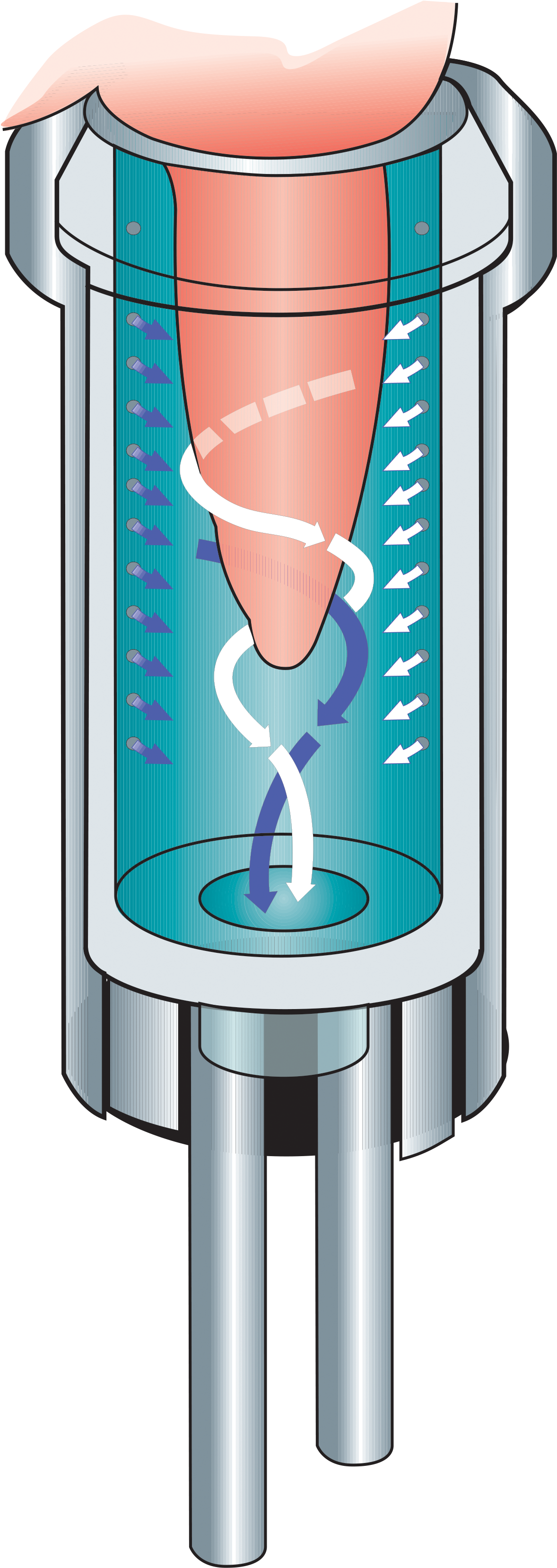 Zoom - Illustration (1200x3380), Png Download