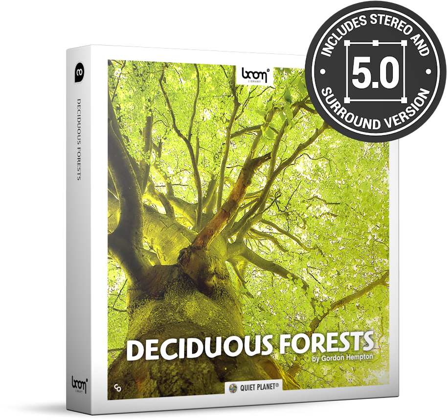 Deciduous Forests Nature Ambience Sound Effects Library - Birch (1000x900), Png Download