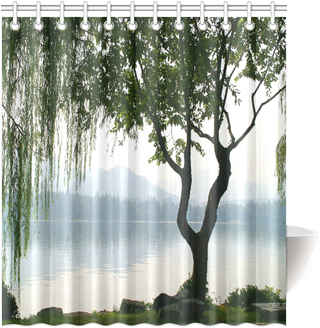 Window Covering (800x800), Png Download