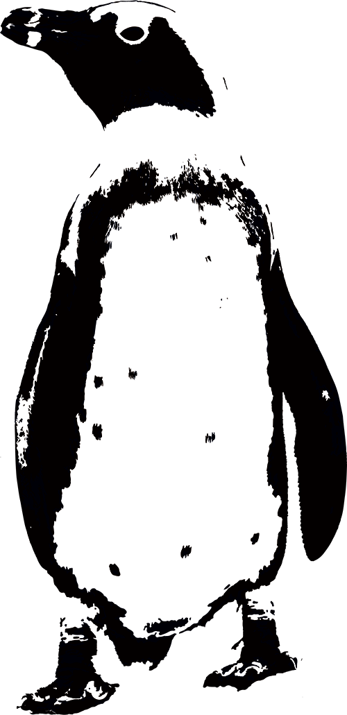 Select Your Celebration Type Below - Illustration (500x1031), Png Download