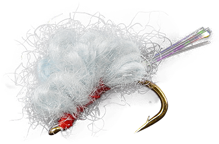 Mayflies (555x741), Png Download